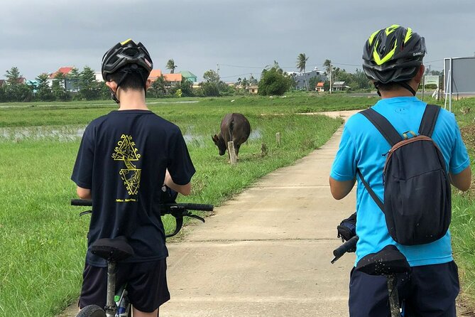 Half-day Hoi An Countryside Bike Tour - Traveler Feedback and Recommendations