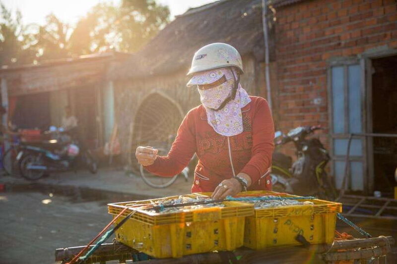 Half-day Hoi An Scenic River Cruise And Village Exploration - Cua Khe Village