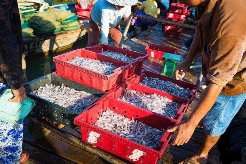 Half-day Hoi An Scenic River Cruise And Village Exploration - Booking and Cancellation Policy