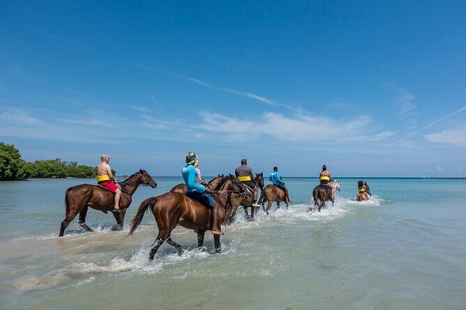 Half day Horse Back Riding and Bamboo Rafting Experience from Ocho Rios - The Sum Up