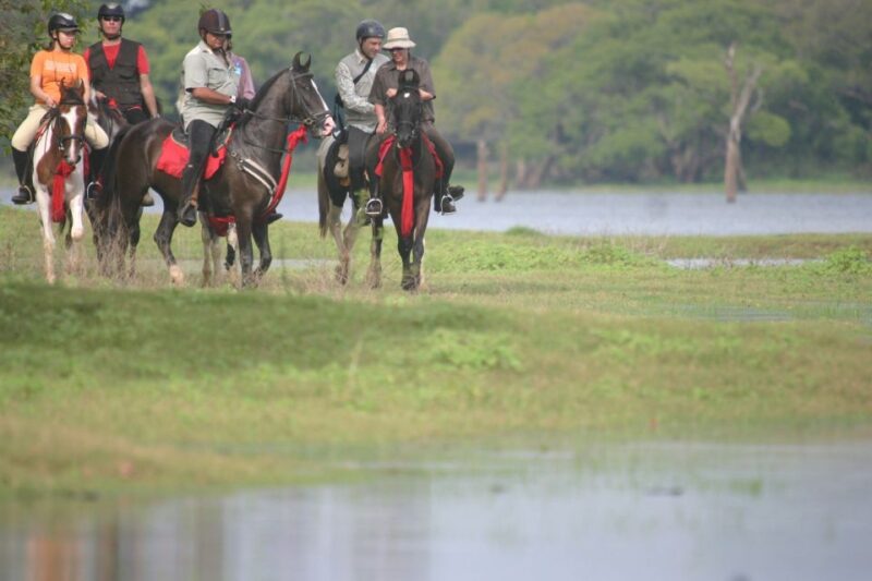 Half Day Horse Riding in Dambulla - Hoofbeats in the Jungle