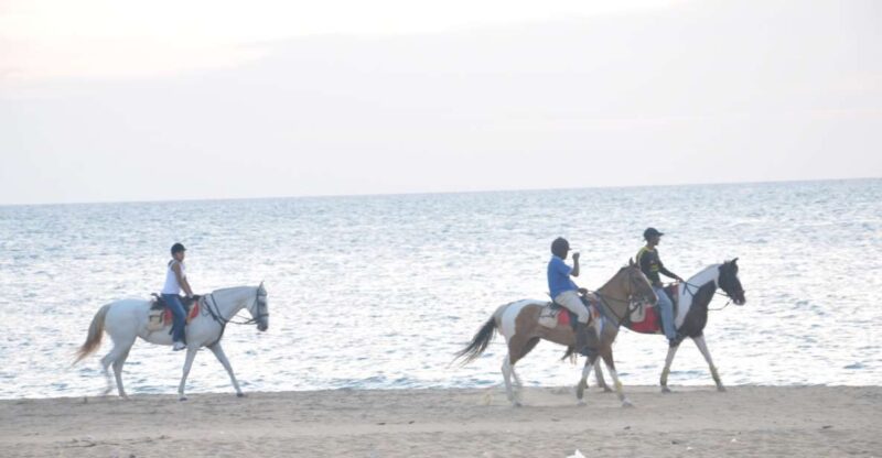 Half-Day Horse Riding in Kalpitiya - Location Details