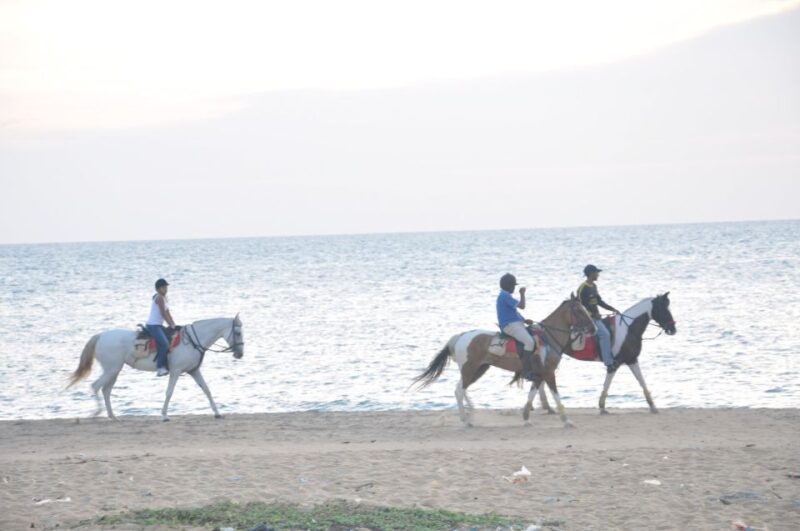 Half-Day Horse Riding in Kalpitiya - Experience Highlights