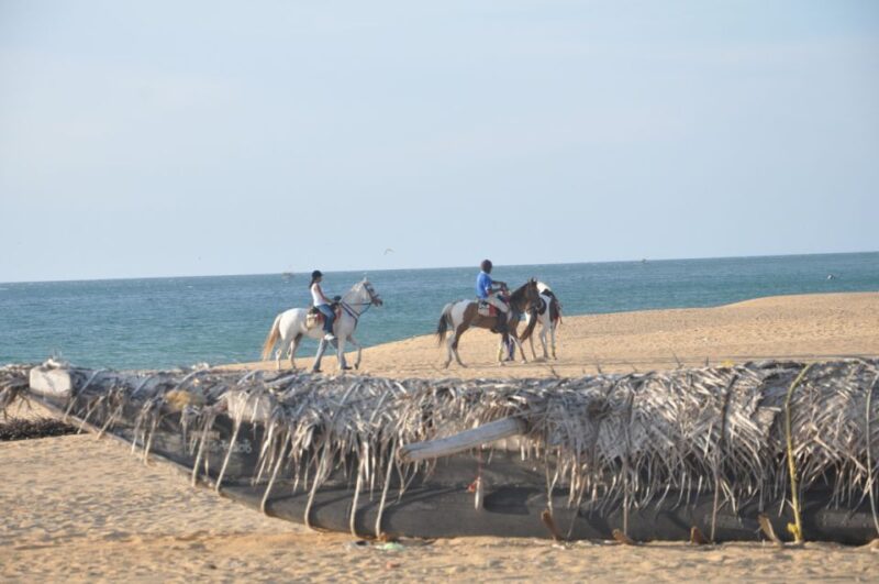 Half-Day Horse Riding in Kalpitiya - What to Expect