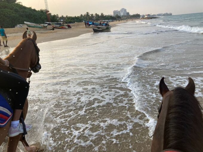 Half-Day Horse Riding in Kalpitiya - Frequently Asked Questions