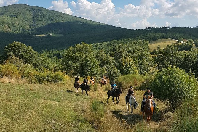 Half-Day Horseback Ride in Tuscany - Diverse Landscapes and Terrain