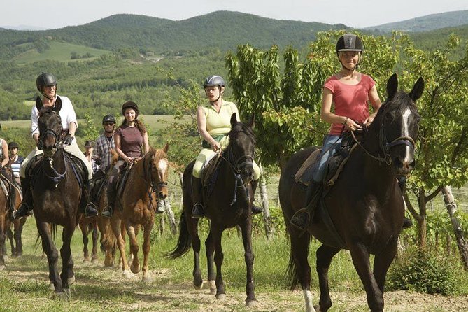 Half-Day Horseback Ride in Tuscany - Horse Selection and Gear