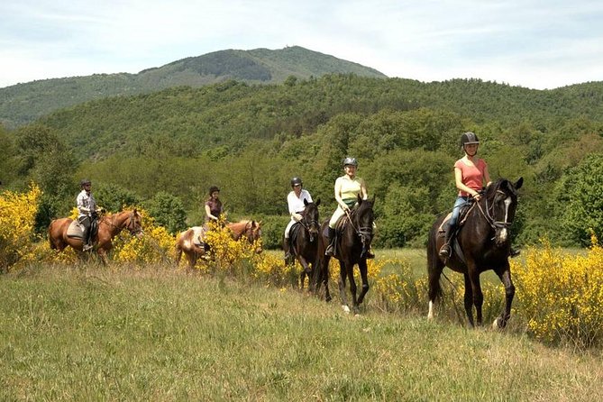 Half-Day Horseback Ride in Tuscany - Guide Performance and Extras
