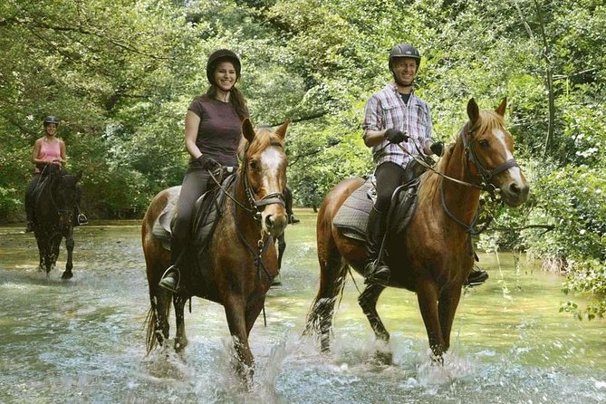 Half-Day Horseback Ride in Tuscany - Environmental Conditions and Safety