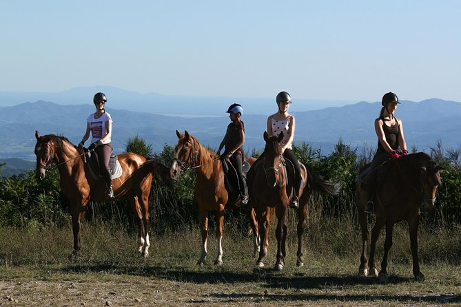 Half-Day Horseback Ride in Tuscany for Beginner Riders - Highlights of the Ride