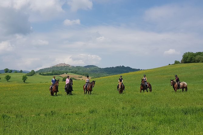 Half-Day Horseback Ride in Tuscany for Beginner Riders - Tour Duration and Group Size