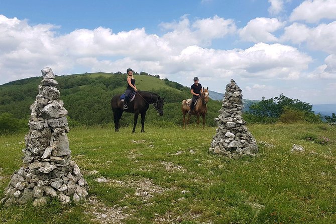 Half-Day Horseback Ride in Tuscany for Beginner Riders - Safety Precautions