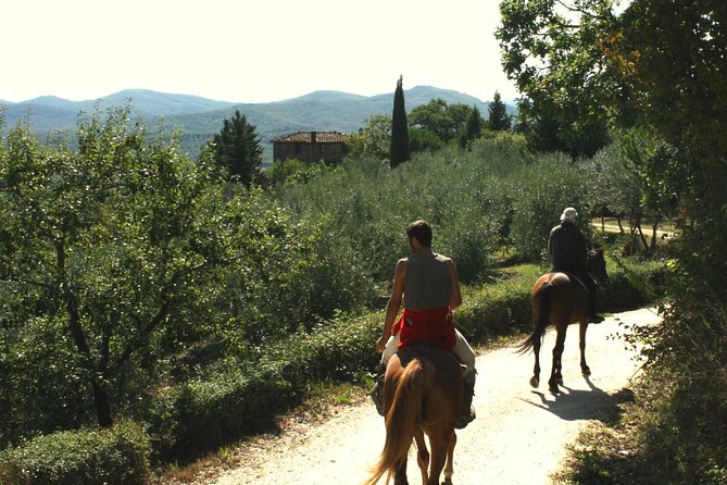Half-Day Horseback Ride in Tuscany for Beginner Riders - Accessibility and Requirements