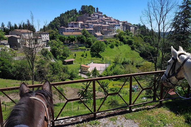 Half-Day Horseback Ride in Tuscany for Beginner Riders - Confirmation and Cancellation
