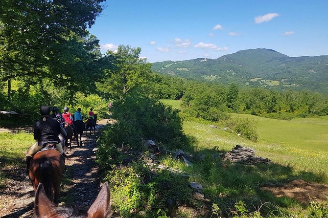 Half-Day Horseback Ride in Tuscany for Beginner Riders - Multilingual Guides and Weather