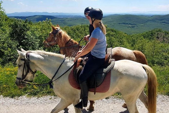 Half-Day Horseback Ride in Tuscany for Beginner Riders - Customer Testimonials