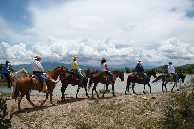 Half-Day Horseback Riding Adventure - Pickup and Drop-off Locations