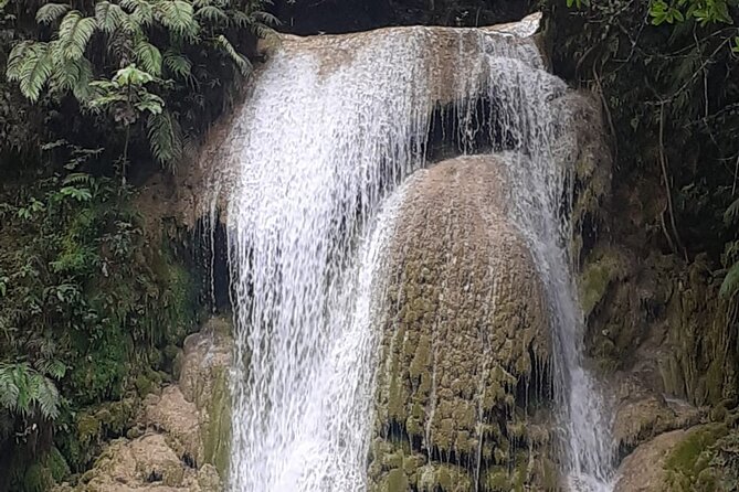 Half-Day Horseback Riding Tour in El Limón - Cancellation Policy