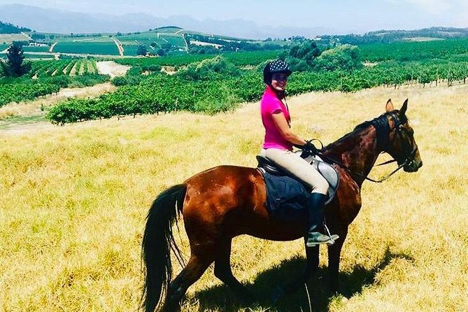 Half Day Horseback Wine Tour - Horse Riding Experience