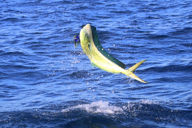 Half Day Huatulco Sport Fishing - Booking and Reservations