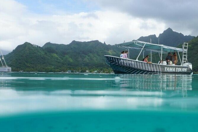 Half-Day Humpback Whales Encounter in Moorea - An In-Depth Look at the Moorea Whale Experience