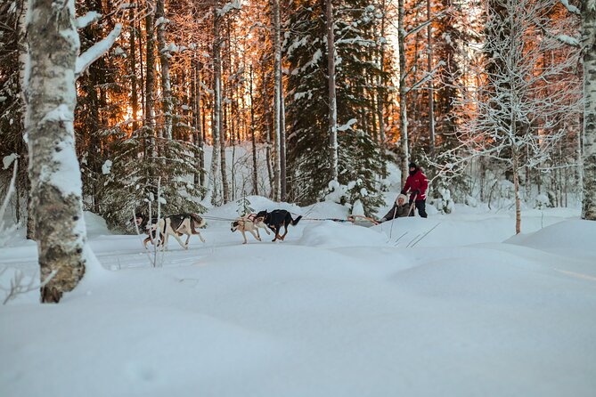 Half-Day Husky Safari and Salmon Ice Fishing Experience - Preparing for the Adventure