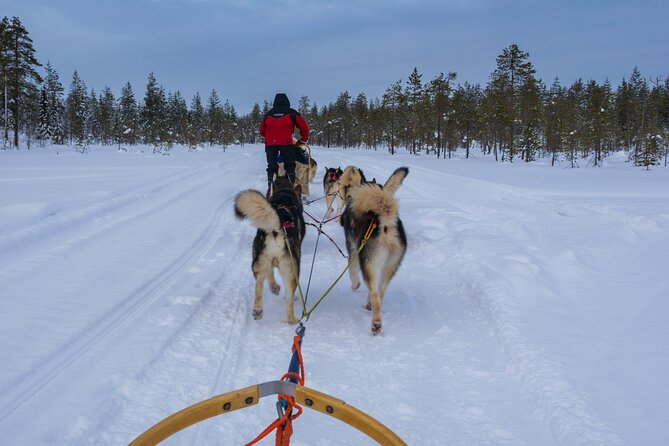 Half-Day Husky Safari and Salmon Ice Fishing Experience - Meeting and Pickup Details