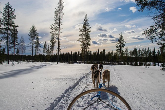 Half-Day Husky Safari and Salmon Ice Fishing Experience - Participant Guidelines and Considerations