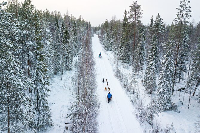 Half-Day Husky Safari and Salmon Ice Fishing Experience - Reviewing the Experience