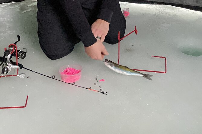 Half Day Ice Fishing Adventure in Wasilla - Meeting and Pickup