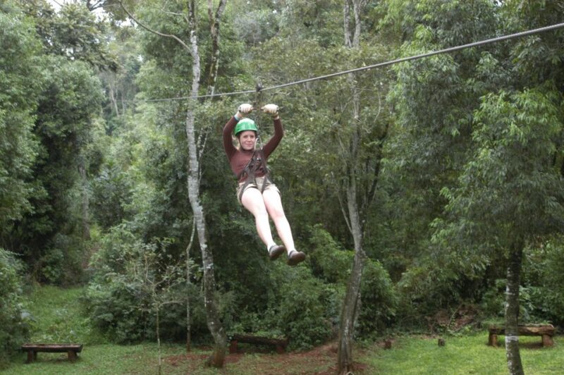 Half-Day Iguazú Forest Adventure - Customer Reviews