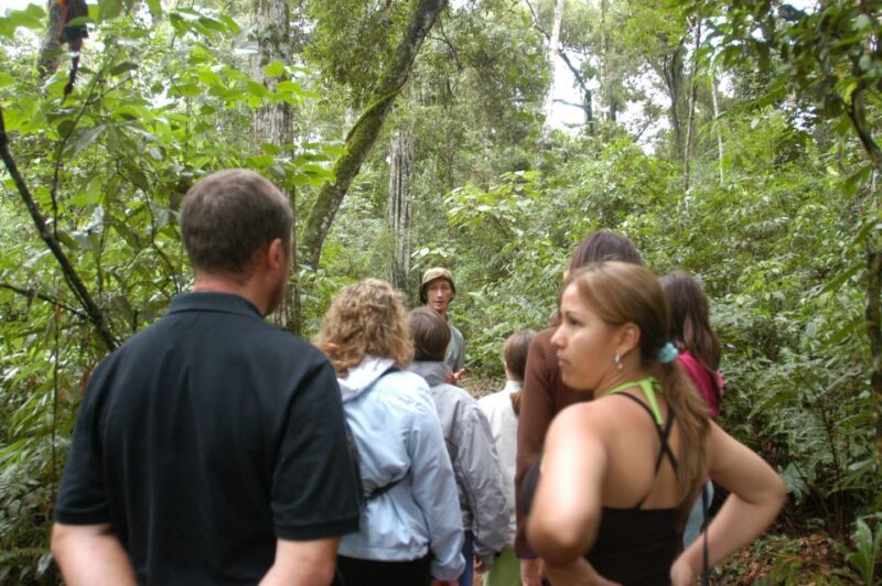 Half-Day Iguazú Forest Adventure - Additional Notes