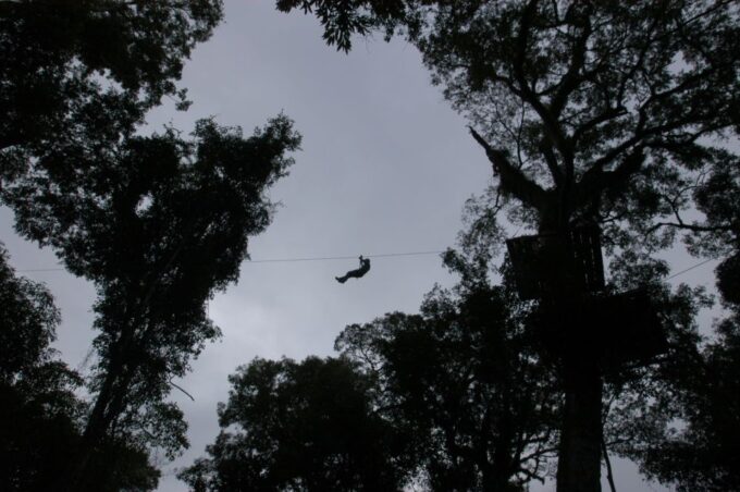 Half-Day Iguazú Forest Adventure - Frequently Asked Questions