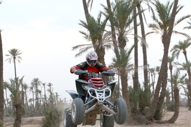 Half Day In Marrakech Desert Tour: Quad and Camel Ride - Pricing and Booking Options