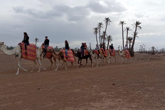 Half Day In Marrakech Desert Tour: Quad and Camel Ride - Additional Information