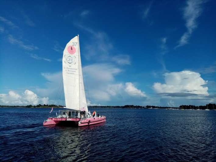 Half Day in the Bay of Concarneau - Key Points