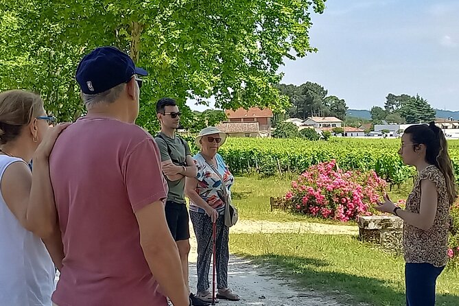 Half-Day in the Bordeaux Vineyard and Wine Tastings - Tour Overview