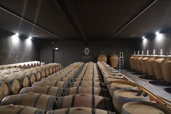 Half-Day in the Bordeaux Vineyard and Wine Tastings - Pricing and Cancellation