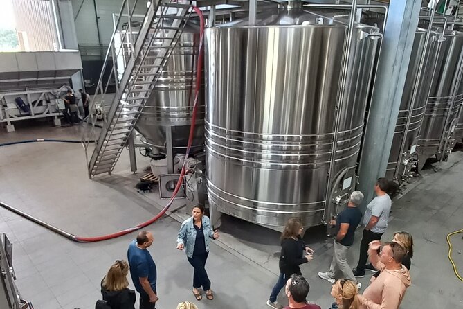 Half-Day in the Bordeaux Vineyard and Wine Tastings - Tasting the Wines