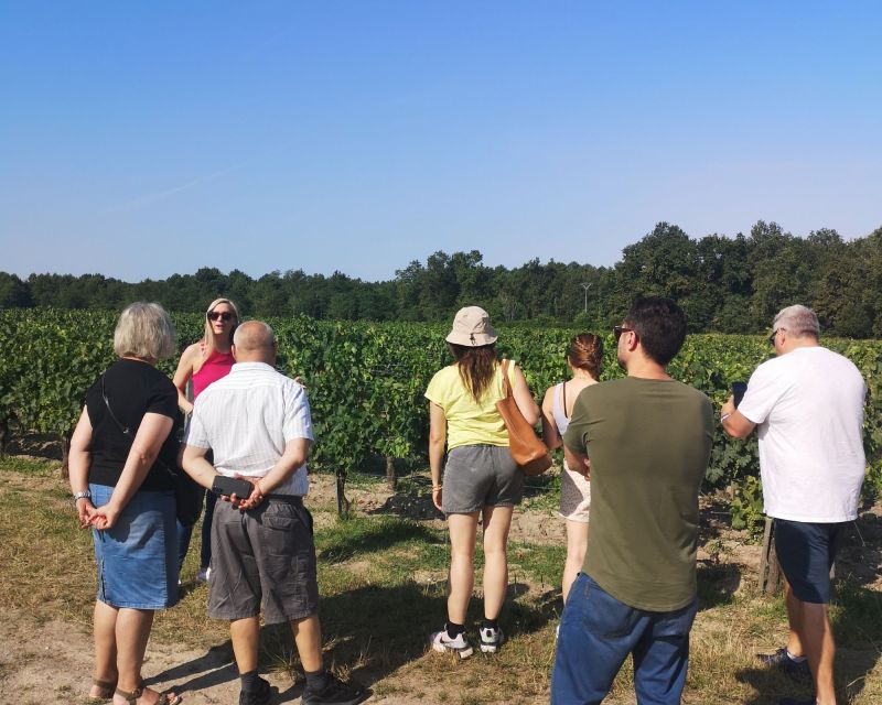 Half-Day in the Médoc From Bordeaux - 2 Wineries and 6 Wines - Winery Visits