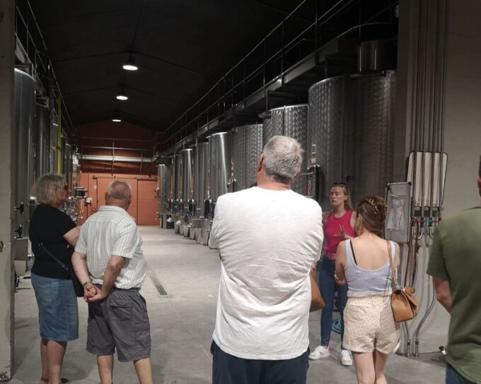 Half-Day in the Médoc From Bordeaux - 2 Wineries and 6 Wines - Important Considerations