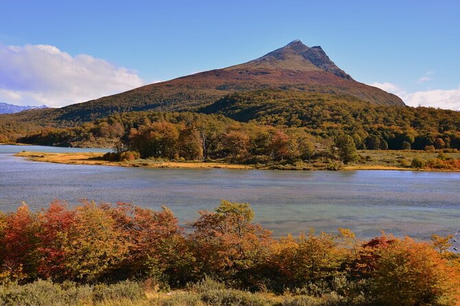 Half Day in Tierra Del Fuego National Park With Train - What to Expect