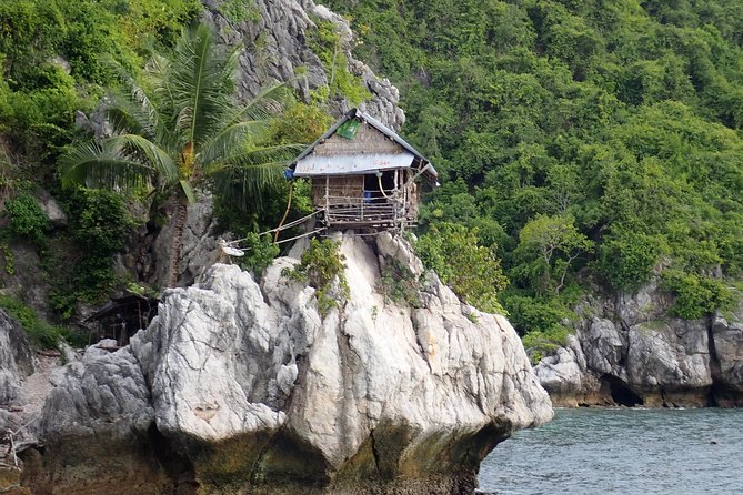Half Day Island Hopping & Snorkeling to Koh Taen For Cruise Ship Visitors - Positive Reviews