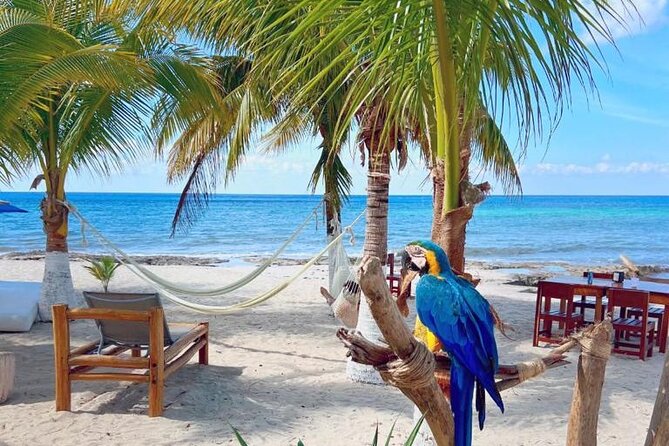 Half-Day Island Tour With Mayan Experience & Beach Break - Traveler Reviews