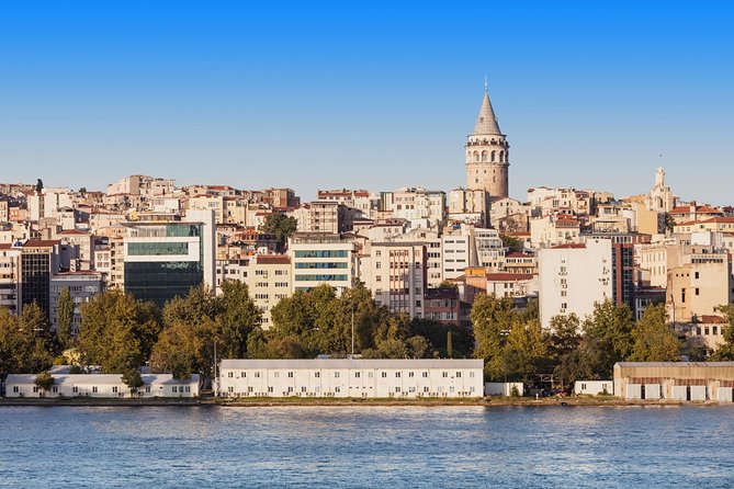 Half Day Istanbul Bosphorus Cruise Tour With Dolmabahce Palace W/Private Guide - Bosphorus Strait Cruise
