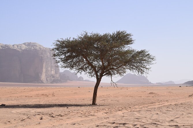 Half Day Jeep and Camel Tour No Stay - Terrain and Environment