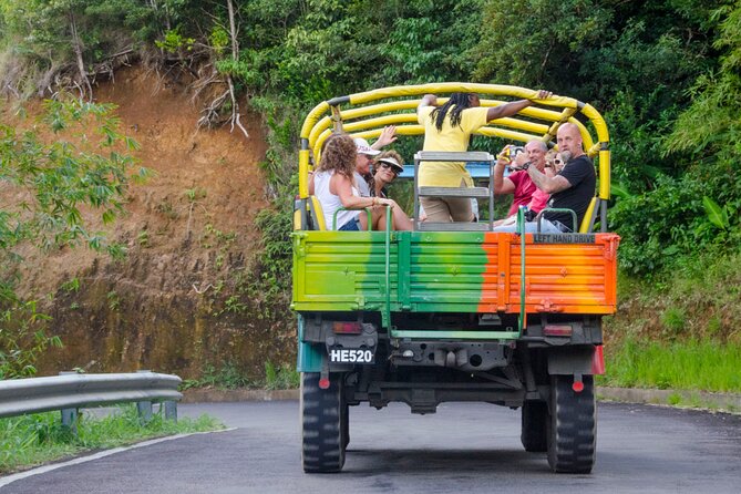 Half Day Jeep Safari - Stunning Botanical Gardens