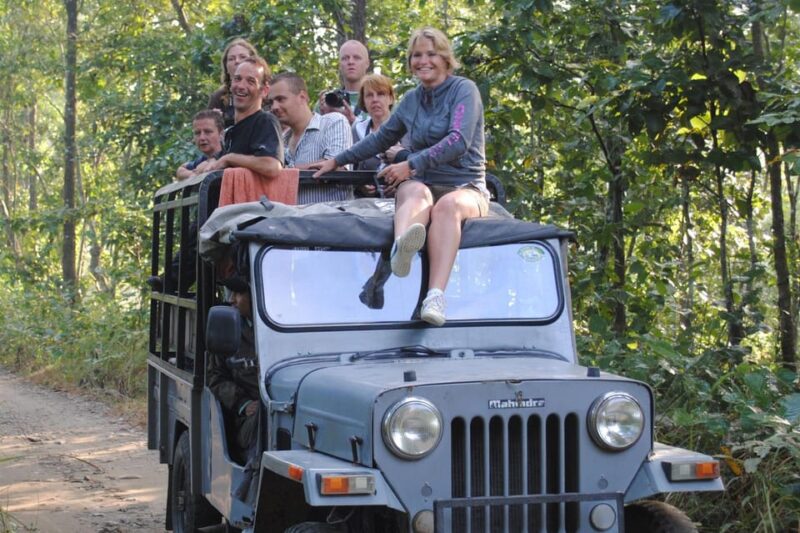Half Day Jeep Safari in Chitwan National Park - Wildlife Sightings