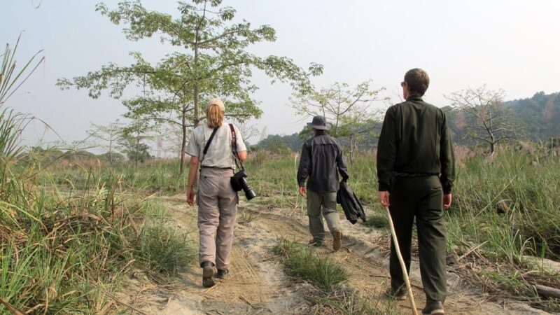 Half Day Jeep Safari in Chitwan National Park - Complimentary Refreshments