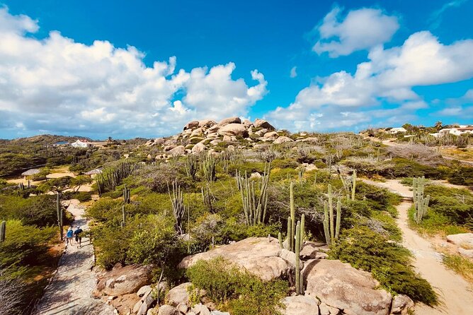 Half-Day Jeep Tour in Aruba - Health and Safety Guidelines